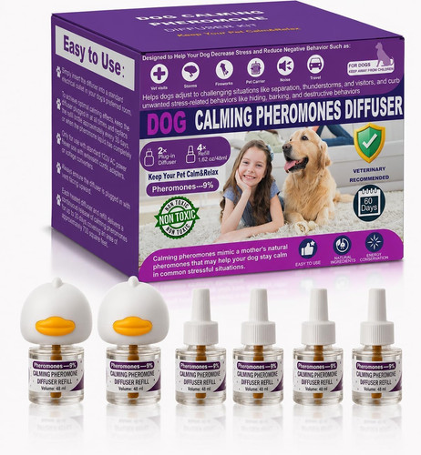Dog calming pheromone - dog,