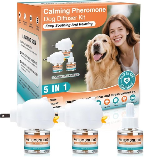 Dog calming pheromones - dog,